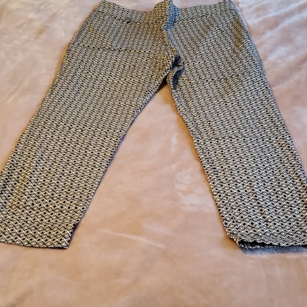 NWOT ankle length pants